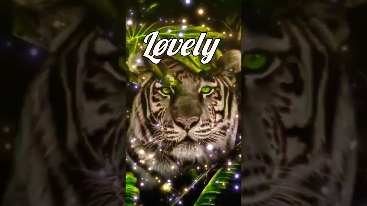 Lovely x  Tigers || Tiger status of social media ♥|| part - 1 ||