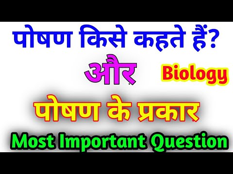 वीडियो: मिखाइल लैबकोवस्की से पालन-पोषण के 10 सिद्धांत