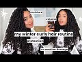 NEW WINTER CURLY HAIR CARE ROUTINE + TIPS for VOLUME, MOISTURE, & AVOIDING DAMAGE!