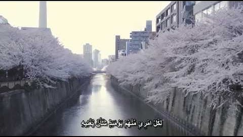 سورة عبس (17 - للنهايه ) || تلاوه هادئه تريح القلب || مؤيد المزين
