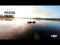 Fpv long shot through nature  poisson blanc