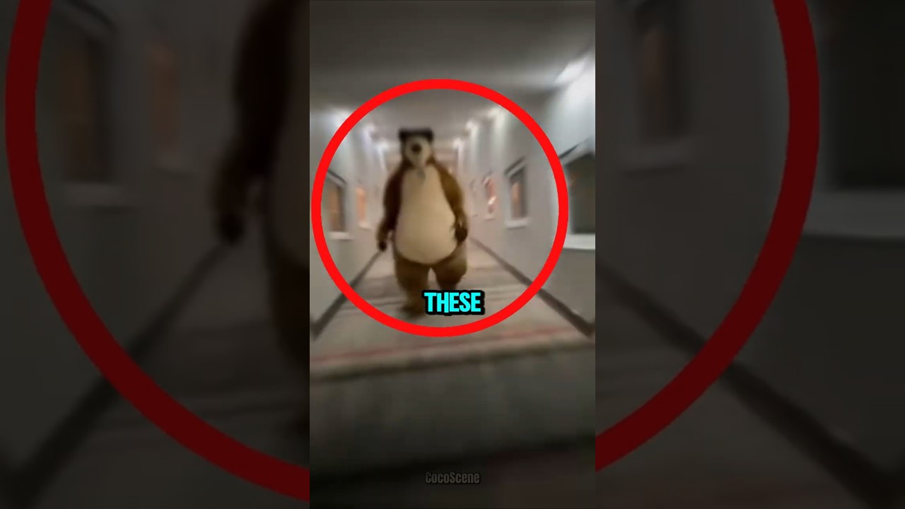 "Top 5 Fastest Animals in the World You Must Know 🤯😱"