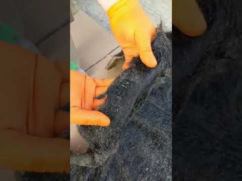 Hammer D-4 – Marcatore Pneumatico per Pelli Grezze | Demo Tracciabilità Pellami