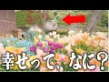 孤独な山奥暮らしだけど毎日が幸せです