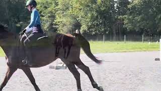 RRP Application— Jumping Video