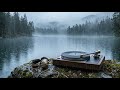 Nature White Noise Lofi 🌧️ Immersive Forest, Rain & Ocean Sounds for Sleep & Meditation | No Ads