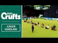 International Junior Handling Competition - Final Judging | Crufts 2020