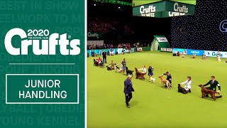 International Junior Handling Competition  Final Judging | Crufts 2020