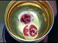 Bloody Hosts and Tempting a Donkey: 6 Incredible Eucharistic Miracles | Cathlist # 23