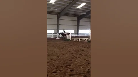 Canter transitions on Vogue