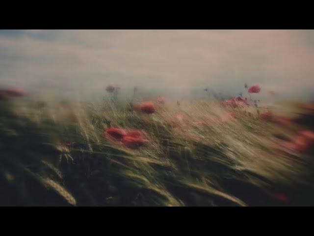 endless withdrawal - i forgot where we were (slowed + reverb)