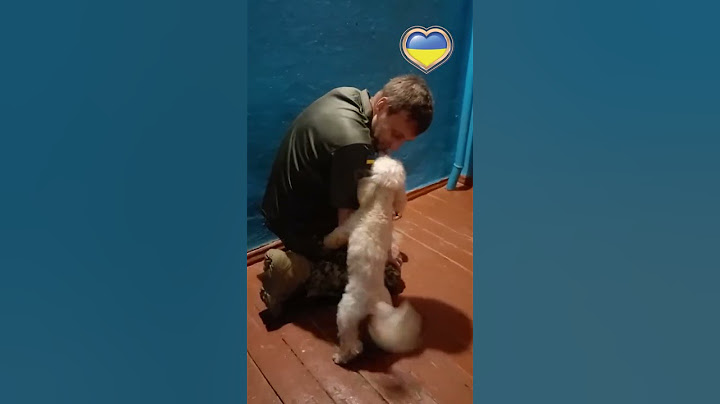 Як це зворушливо. Це єдиний, хто не зрадить. Собака зустрічає воїна.