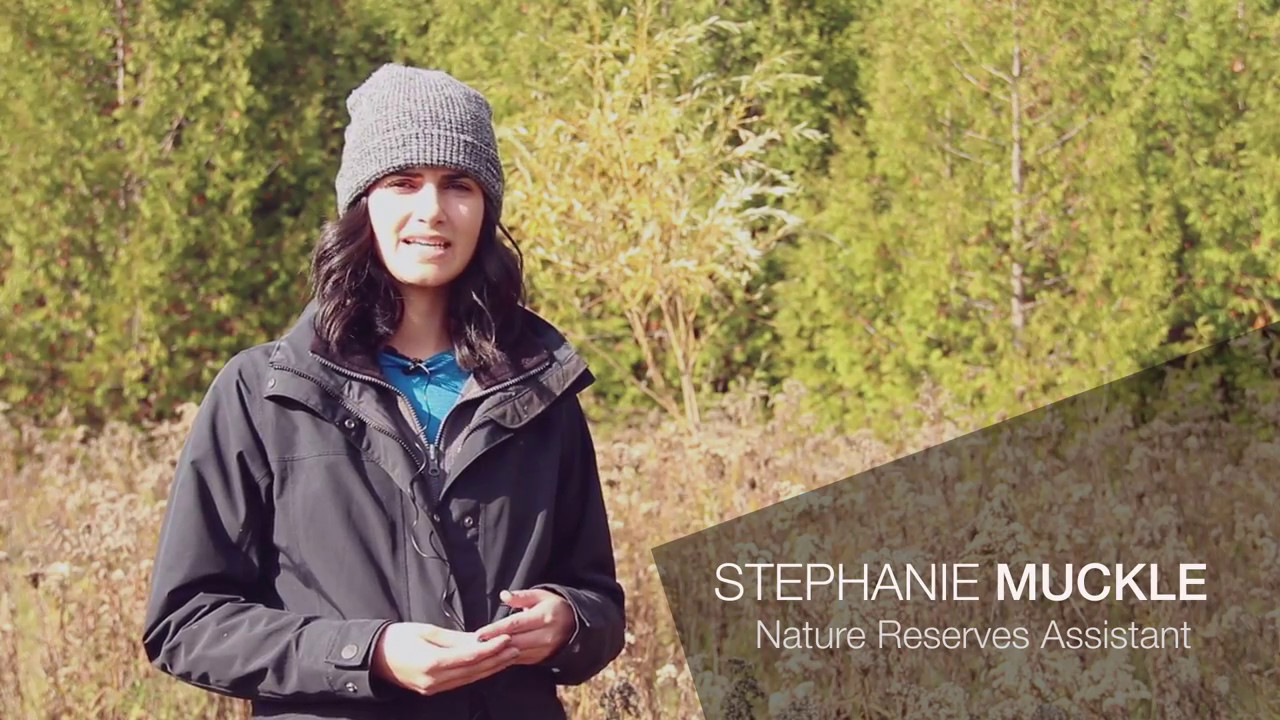 environmental tech Ontario Nature’s Nature Reserves