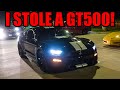 I STOLE MY FRIENDS BRAND NEW GT500 AT A CAR MEET! (I LOVE THIS CAR!)