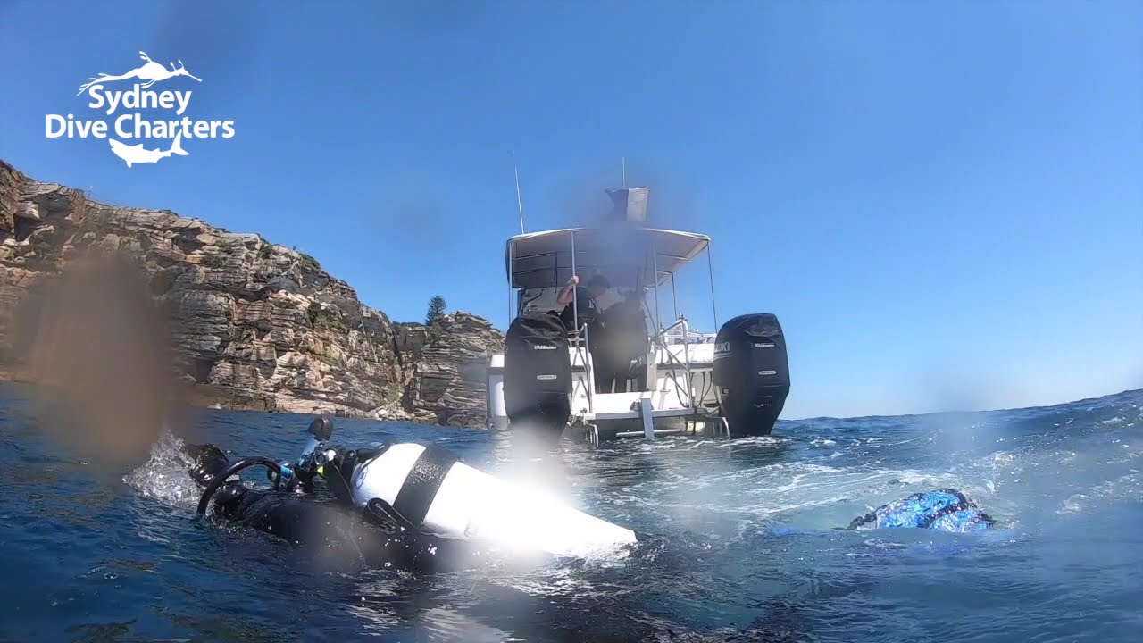 Diving Sydney scuba dive The Split South Head best dive site