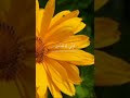ايات من سوره العنكبوت