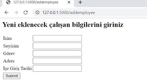 Flask ve SQLite ile web projesi: Veri tabanına eleman ekleme işlemi (INSERT Sorgusu)