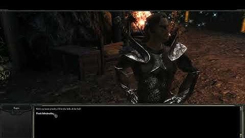 Divinity II: Developer