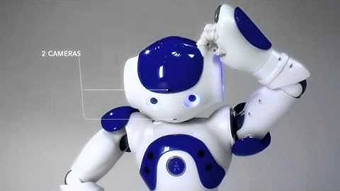 Aldebaran Robotics