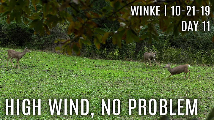 Winke Day 11: High Wind, No Problem