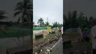 വലവീശി പുതുപ്പള്ളിക്കാർ 💎🐠🐡 #puthuppally #kottayam #keralarain  #keralamonsoon