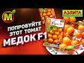 ВКУСНЕЙШИЙ ГИБРИД – Томат МЕДОК F1