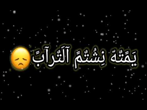 شاشه سوداء يازمن وين الاحباب باسم الكربلائي