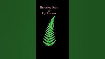 Barnsley Fern to Cyclosorus