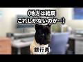 追い詰められた地方銀行員がたどる転職活動の末路#本編