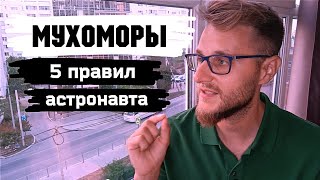 МYХОМОРЫ / Эти правила спасут твою жизнь