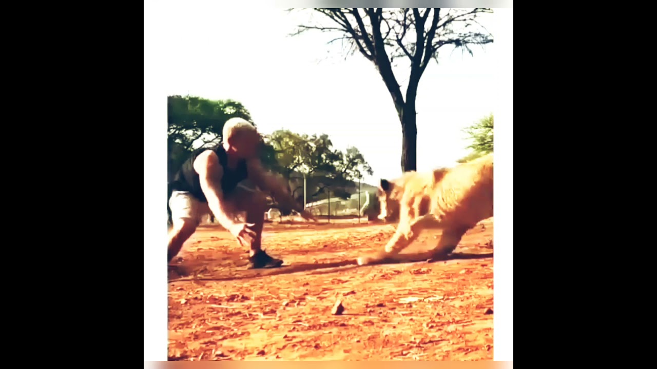 lion vs men friendship ❤❤