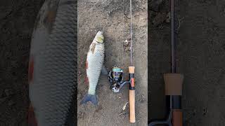 Новый трофей #daiwa #fishing #ловляхариуса #голавль #рыбалка