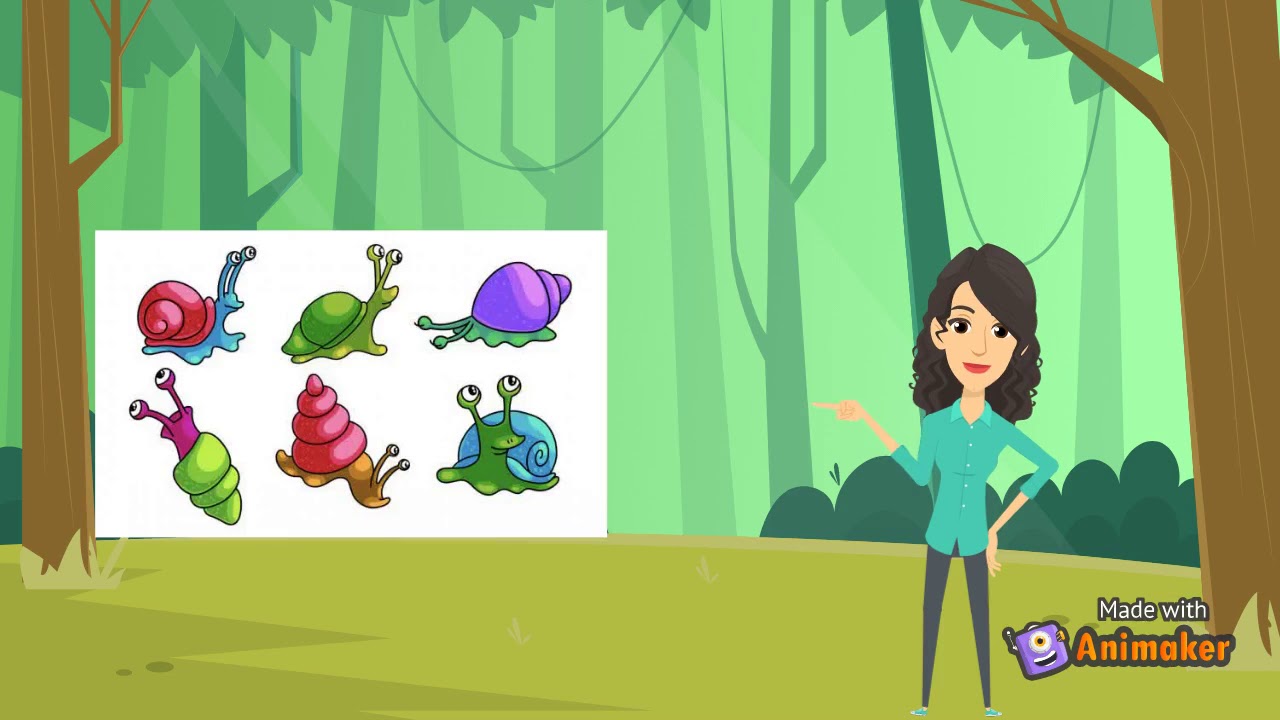 Week 6.ENGLISH FOR KIDS LEARNING INSTRUCTIONS - Animals