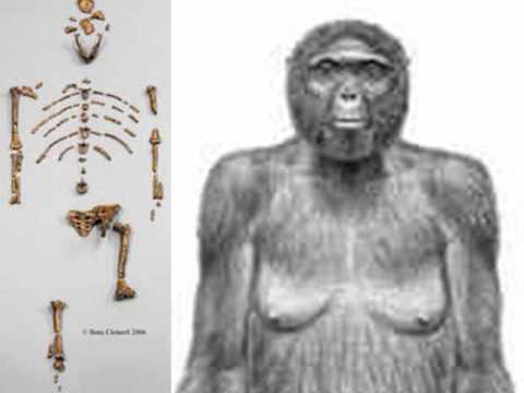 Mothers Lucy & Ardi Africanas: Hoaxes-First Parents Died in Iraq-Adam & Eve