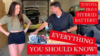 Your Hybrid Battery: Tips, Maintenance, LifeSpan, & MORE! Must see for a Prius/Hybrid Owner