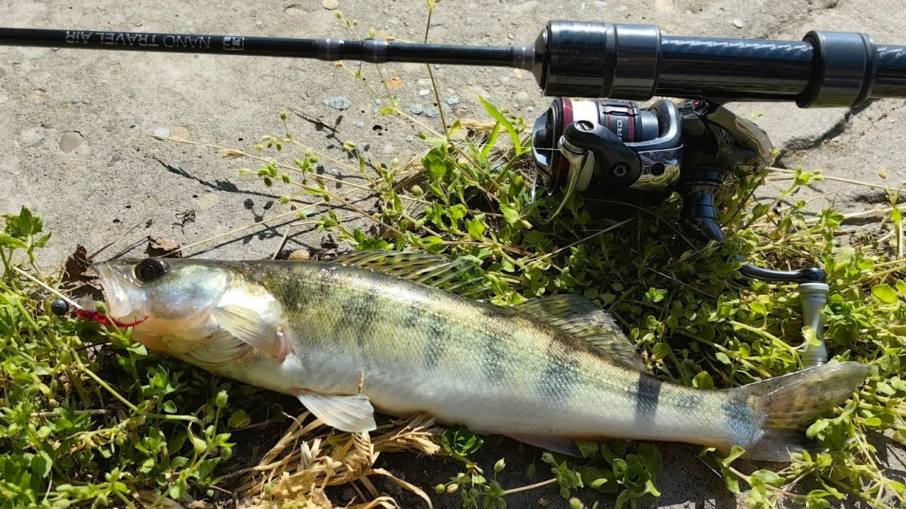 Микроджиг с nano travel air 0.3-2гр. Вся рыба под мостом.