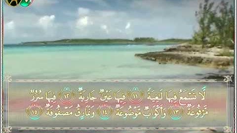 سورة الغاشية بصوت الشبل يوسف كالو