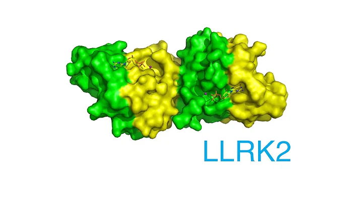 The gene LRRK2 and its role in Parkinson's