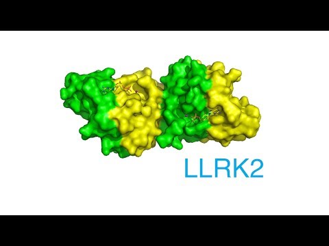 Video: LRRK2 Biologie Von Der Struktur Bis Zur Funktionsstörung: Die Forschung Schreitet Voran, Aber Die Themen Bleiben Dieselben