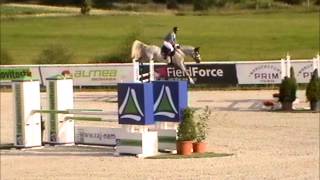 SOLD - Eaindia - *2009, top prospect jumper,Clinton x Padinus x Ekstein, www.salesporthorses.com