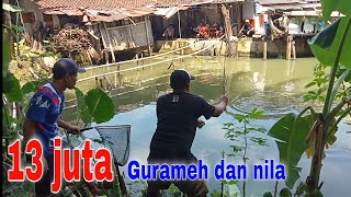 Semakin nekat‼️13 juta tetep gass...mancing gurameh paling mantap.