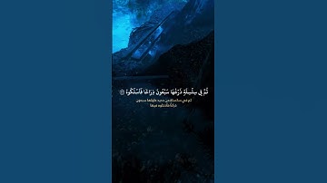 #قرآن #اكسبلور #المصحف #تلاوة #لايك #تلاوة_خاشعة #راحة_نفسية