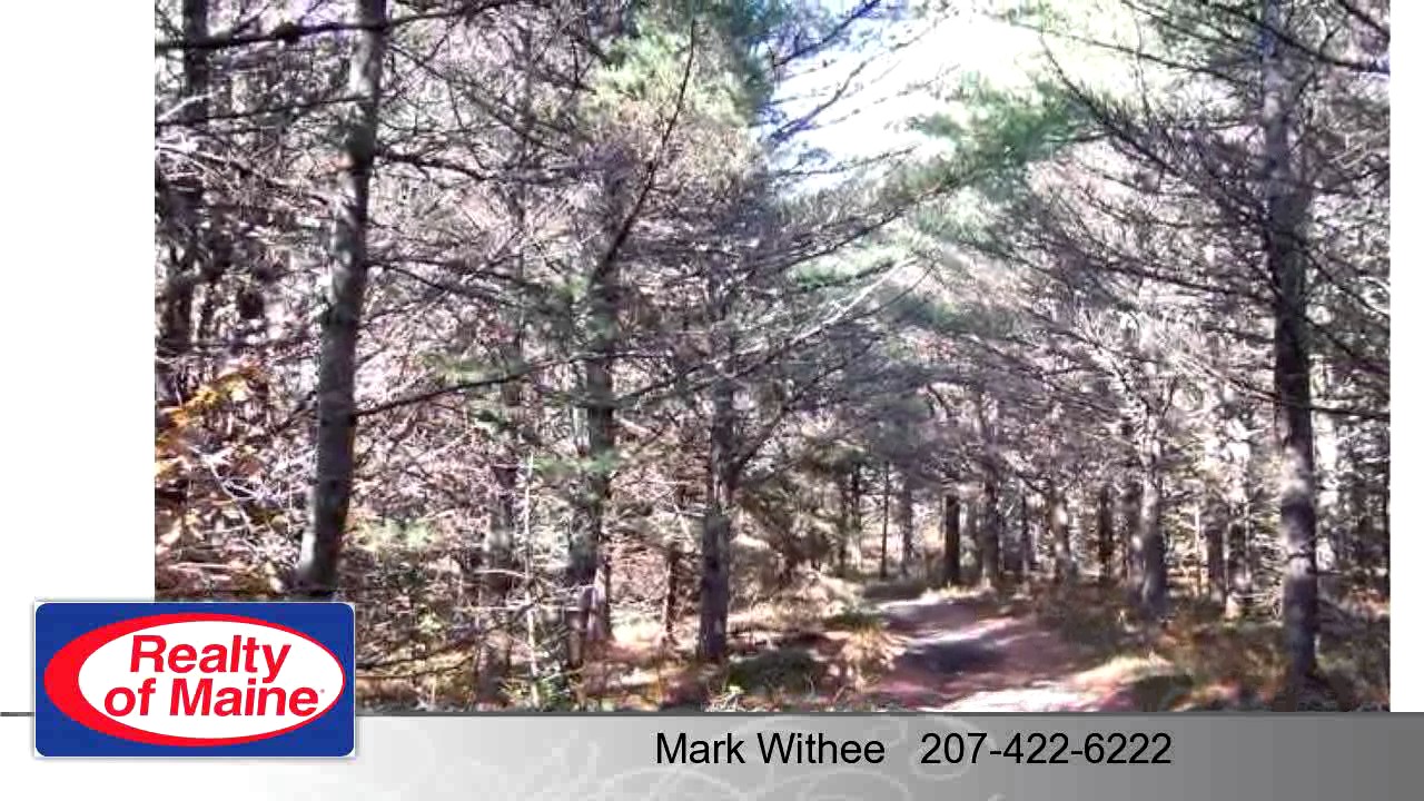 Lots And Land for sale 00 Lily Road, Beddington, ME 04622 YouTube