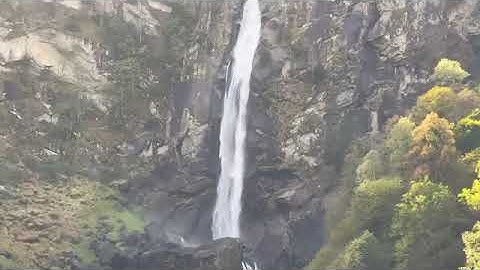 سورة الشمس للقارئ نامق مصطفى 🌹