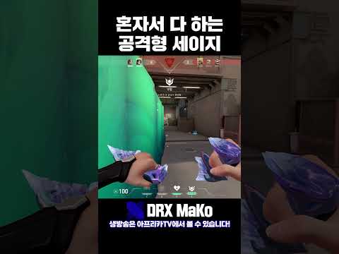 프로게이머가 보여주는 공격적인 세이지