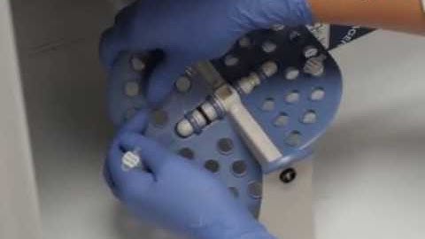 Bacterial Inner-membrane Display for Screening a Library of Antibody Fragments