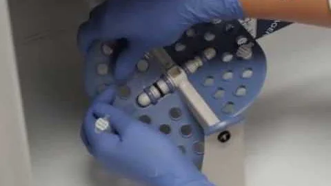 Bacterial Inner-membrane Display for Screening a Library of Antibody Fragments