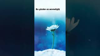 Şiir  özel  Seslendiren aliyavuz instagram:@SiirLekesi Resimi