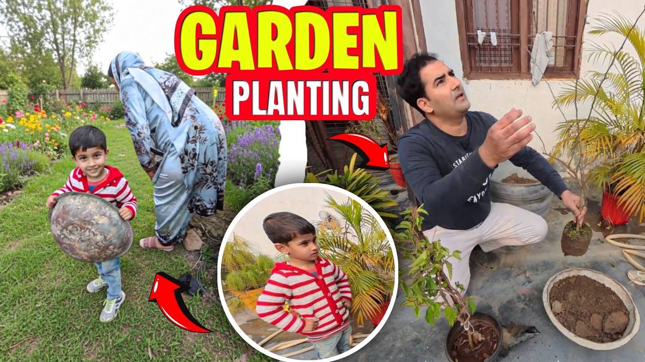 Aaj Ki Garden Planting 🌿🌼 Nursery Se Paudhe Lakar Lagaye 🪴