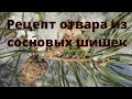 Рецепт отвара из сосновых шишек/Помощь при восстановлении после инсульта, очищение сосудов